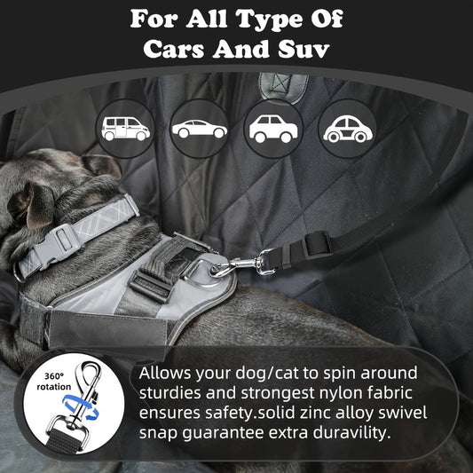 Two-Piece Dog Leash Set – Durable & Comfortable