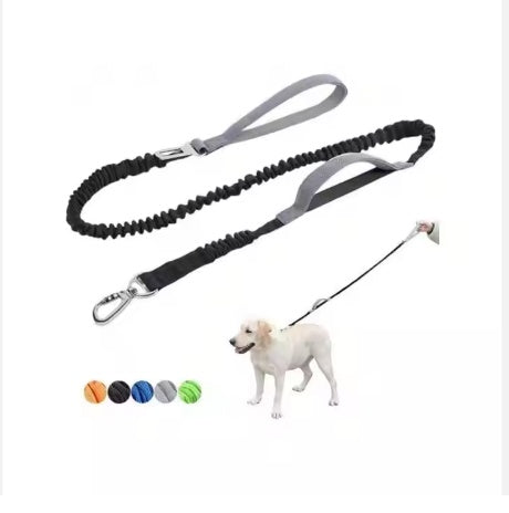 Heavy Duty Dog Leash with Double Handle & Car Seat Belt, 4–6 ft