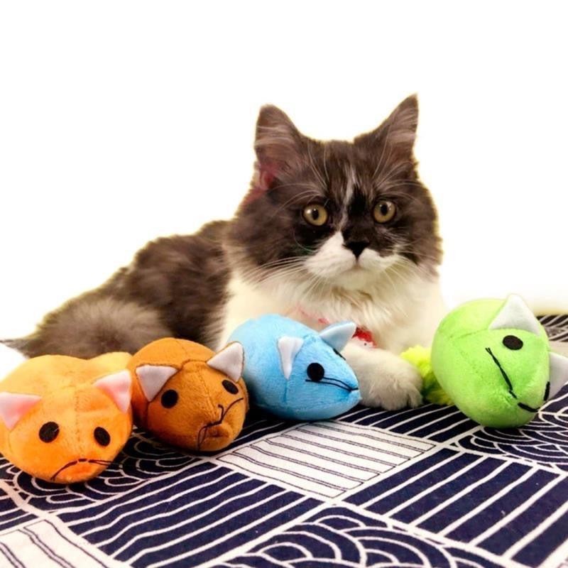Interactive Long Tail Mouse Toy for Cats – Fun Training & Play