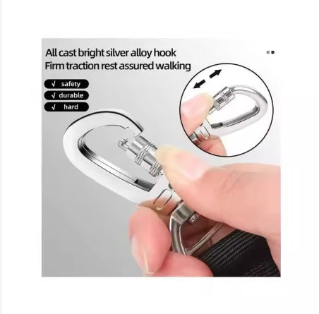 Heavy Duty Dog Leash with Double Handle & Car Seat Belt, 4–6 ft