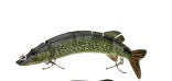 Multistage Bionic Fishing Lure – Segmented Swimbait