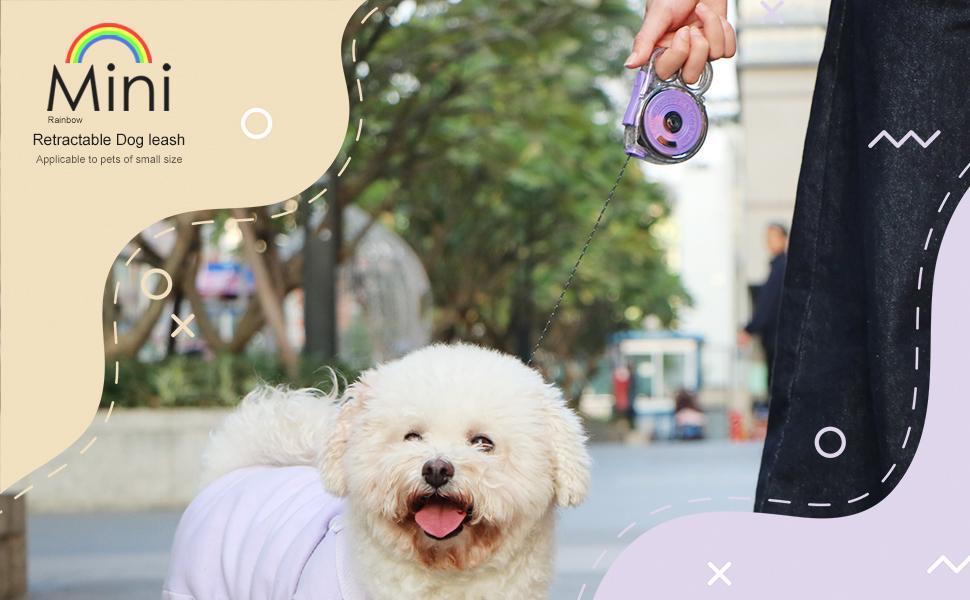 Mini Retractable Dog Leash for Small Pets