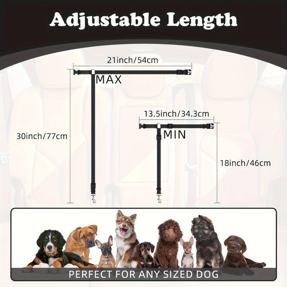 Two-Piece Dog Leash Set – Durable & Comfortable