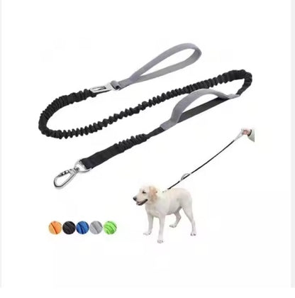 Heavy Duty Dog Leash with Double Handle & Car Seat Belt, 4–6 ft