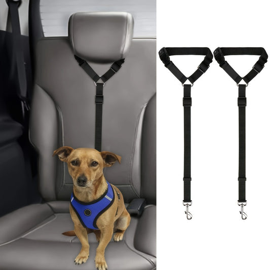 Two-Piece Dog Leash Set – Durable & Comfortable