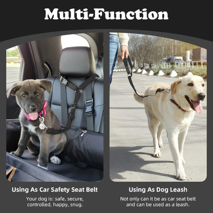 Two-Piece Dog Leash Set – Durable & Comfortable