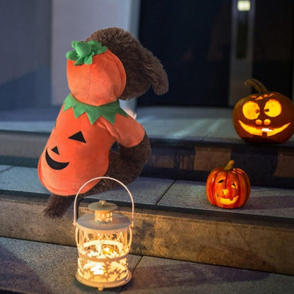 Dog Pumpkin Hoodie – Halloween Costume Warm Fleece for Pets