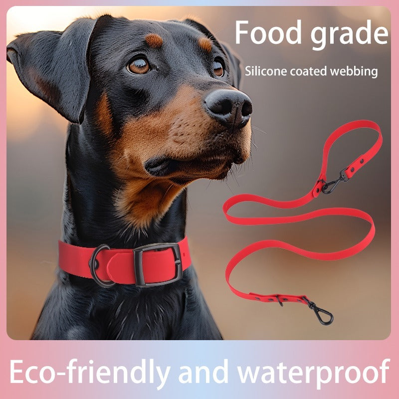Silicone Dog Collar & Leash Set – Waterproof & Easy to Clean