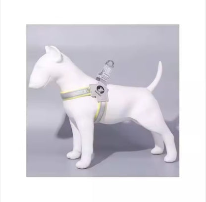 Reflective Pet Harness with Leash – Adjustable & Comfortable for Dogs and Cats