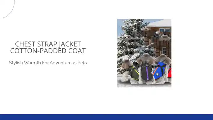 Chest Strap Jacket Cotton-padded Coat by@Outfy